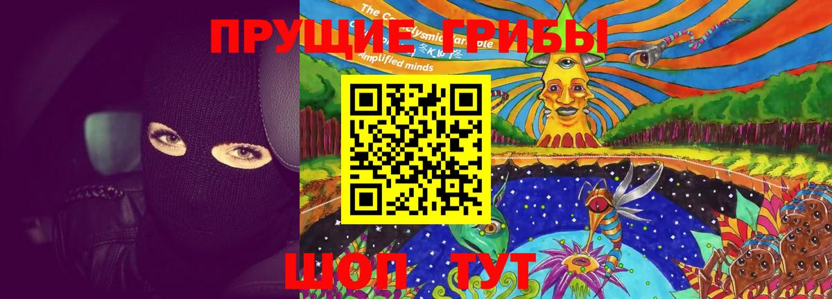 Псилоцибиновые грибы Psilocybine cubensis  Вход с VPN  Кудрово 